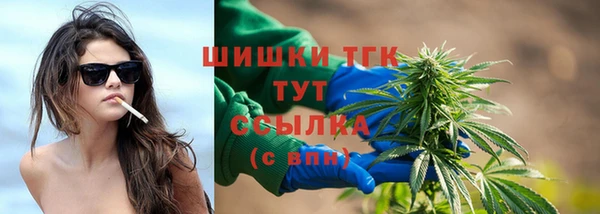 spice Богородск