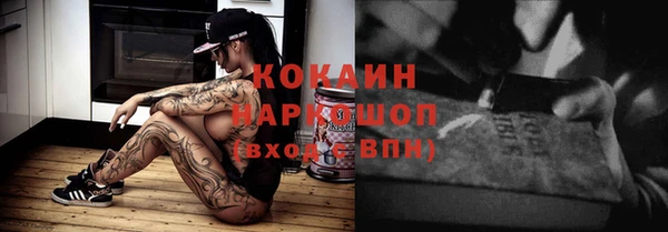 spice Богородск