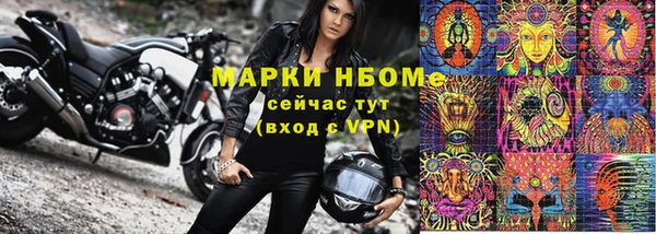 прущий лед Богданович