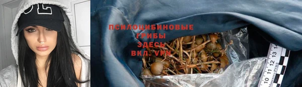 spice Богородск