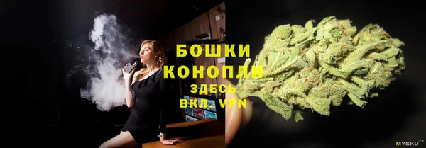 соль ск Бронницы