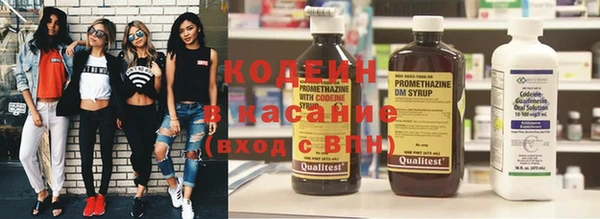 прущий лед Богданович