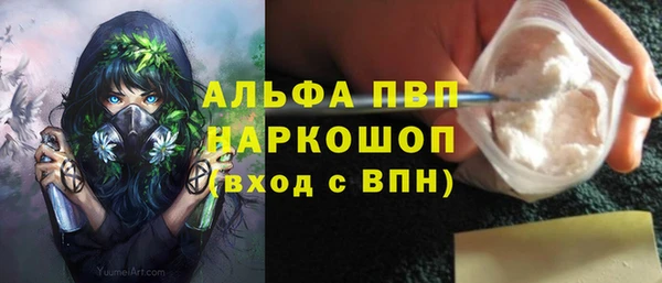 прущий лед Богданович