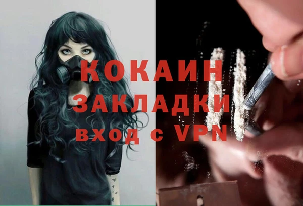кокс Бородино