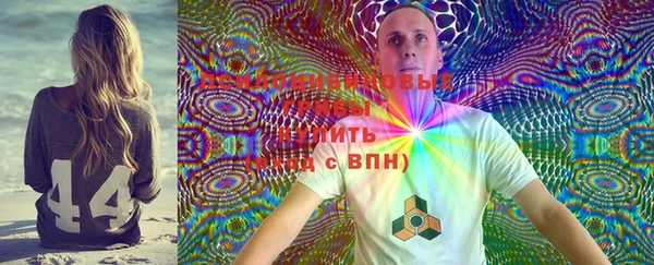 mdpv Белокуриха